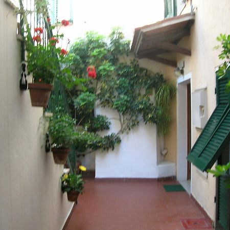 Hotel Anselmi Марчіана-Марина Екстер'єр фото